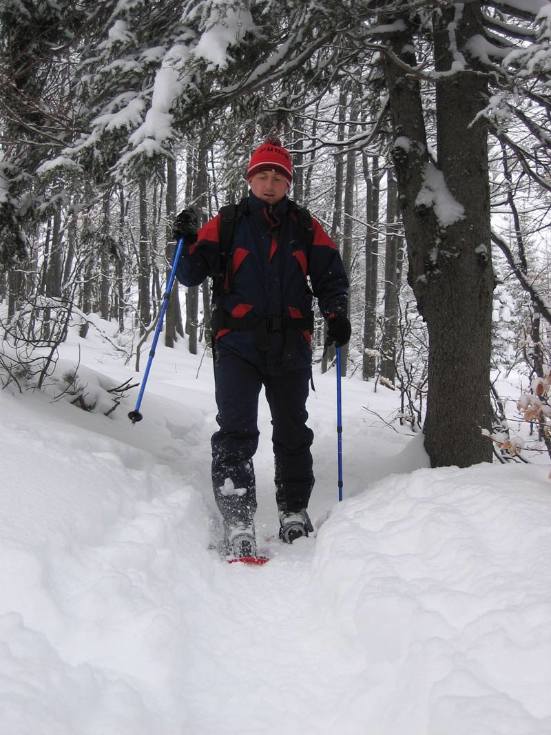 Logarska dolina snowshoeing holidays