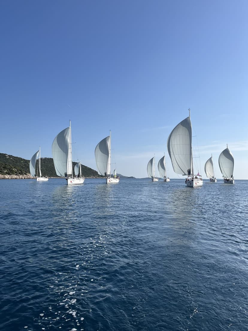 SAILING REGATTA
