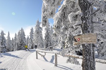Cross Country Skiing Slovenia Winter outdoor activites Slovenia