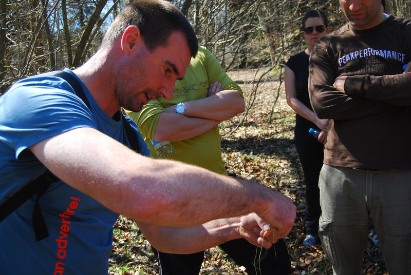 Team building igre - preživetje v naravi