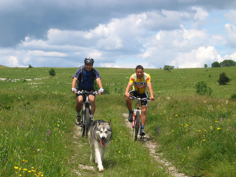 Karst and sea with bike - for bike enthusiasts