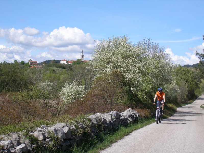 Guided bike tour