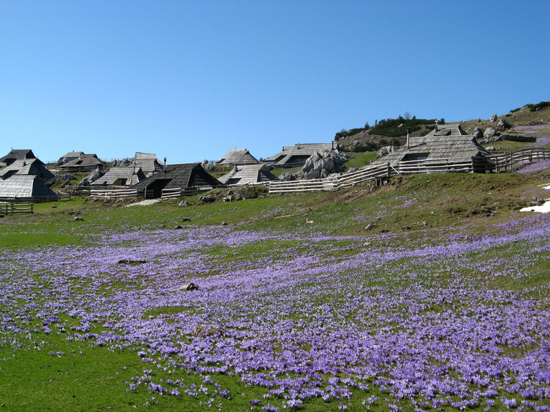 Adventure tours Slovenia - trekking 