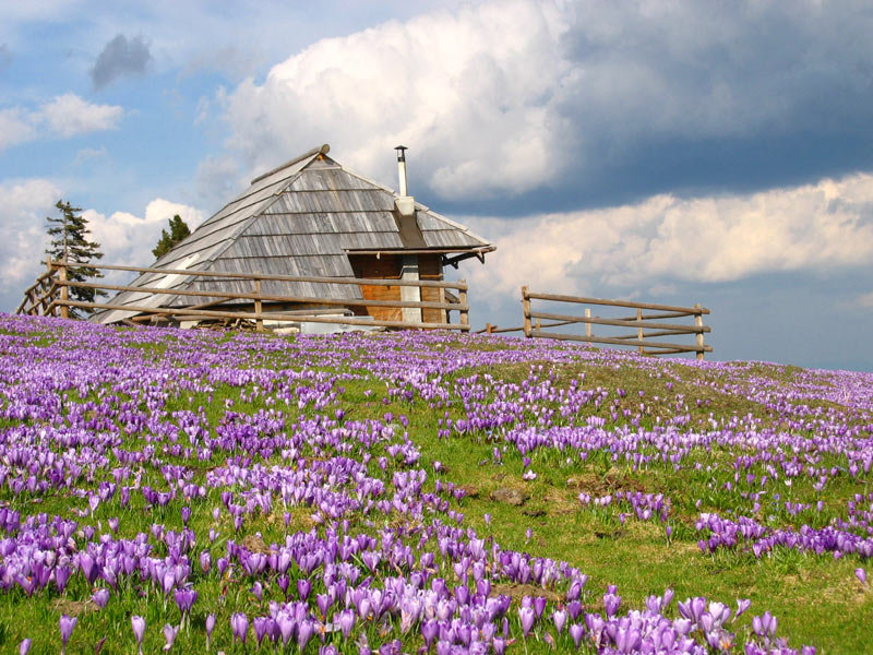 Trekking turs - Velika planina