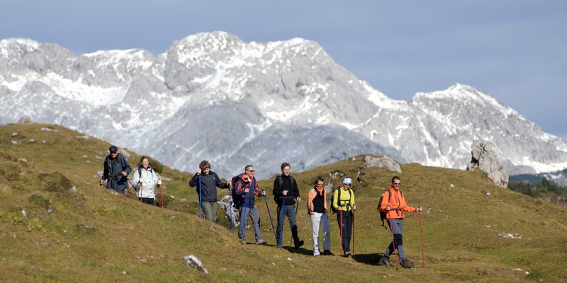 Velika Planina