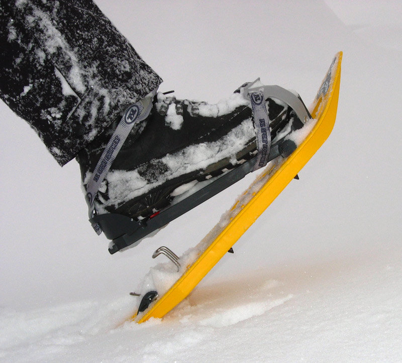 Snowshoeing Slovenia - Velika Planina